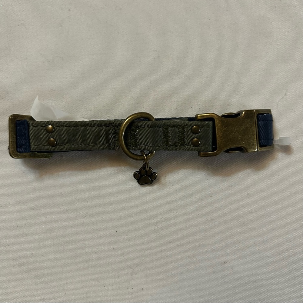 Small Green and Blue Dog Collar with Charm